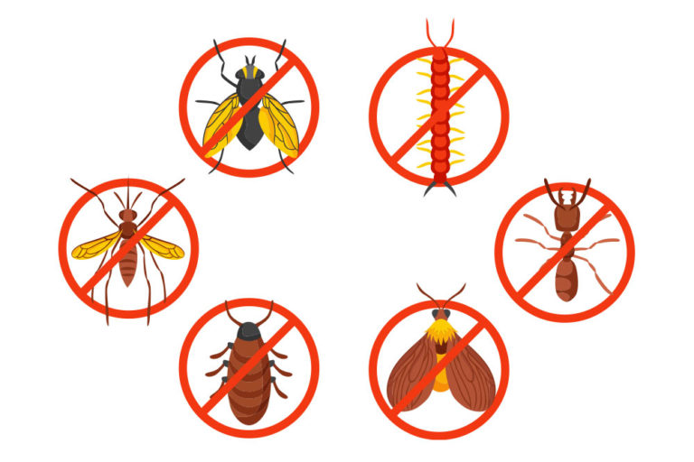 Schädlingsbekämpfung - H&S Meynle Schädlingsbekämpfung ...